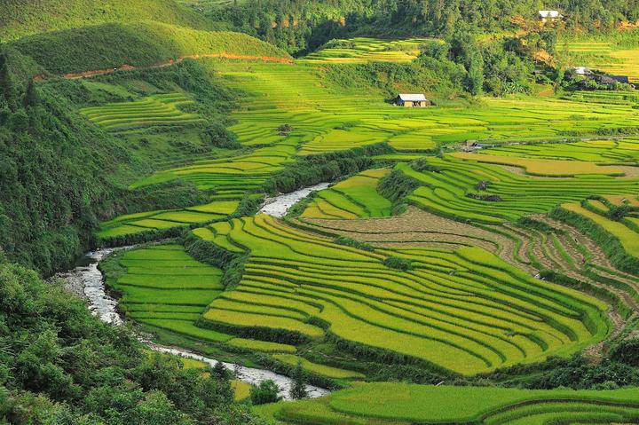 Nội dung: Trong mùa hè nóng bỏng, xu hướng Em Xinh Say Hi đang gây bão trên mạng xã
