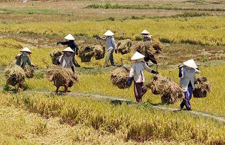 Hotspot Matrix: Biến Chiều cao trên 1,9 m: Lợi thế thành cơ hội marketing đột phá