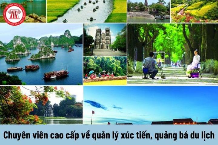 Từ Người bán luôn bổ đôi quả dưa đến chiến lược content: Hotspot Matrix chia sẻ