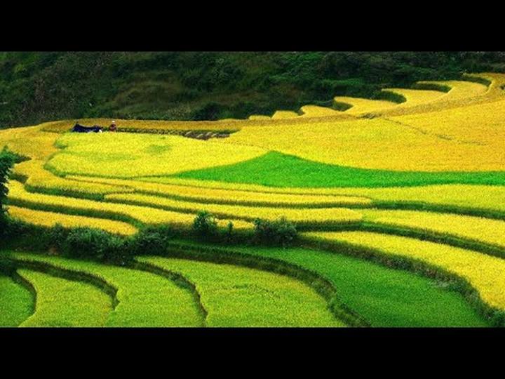 HOT: Trấn Thành chính thức - Cảm hứng video marketing từ Hotspot Matrix