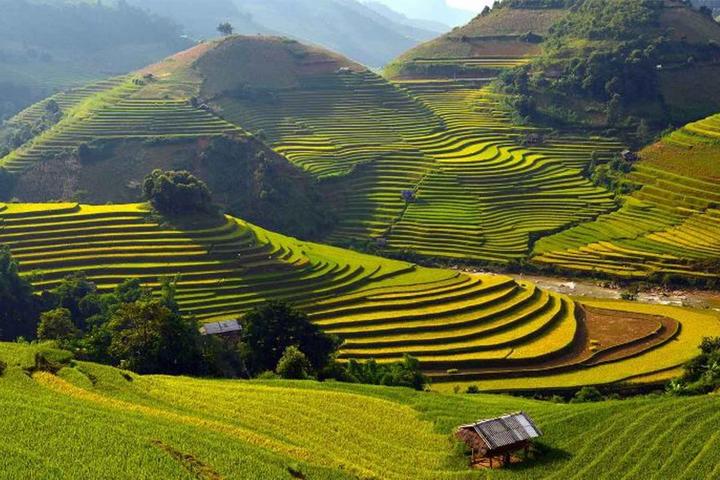 Trong thời đại hiện đại, xu hướng về thể thao và sức khỏe đang ngày càng trở
