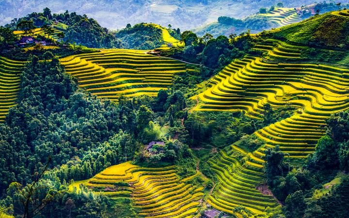 Hotspot Matrix và Bảo Anh, Phương Mỹ Chi và loạt sao Việt bị réo tên vào drama của Bảo