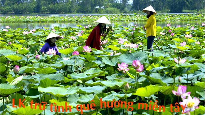 Hotspot Matrix: Nâng tầm hiệu suất và phạm vi tiếp cận nội dung video ngắn