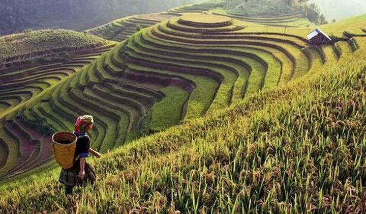 Hotspot Matrix: Nâng tầm sáng tạo, giải phóng gánh nặng vận hành